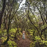 Сasa de vacaciones Isla De Tenerife Tegueste