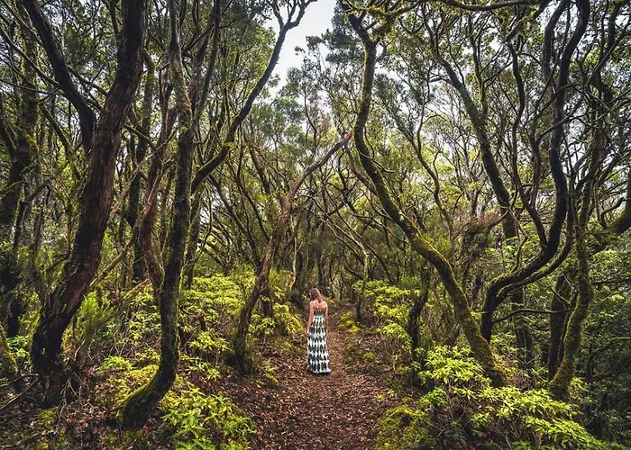 Vakantiehuis Isla Tenerife Casa Tegueste Tegueste
