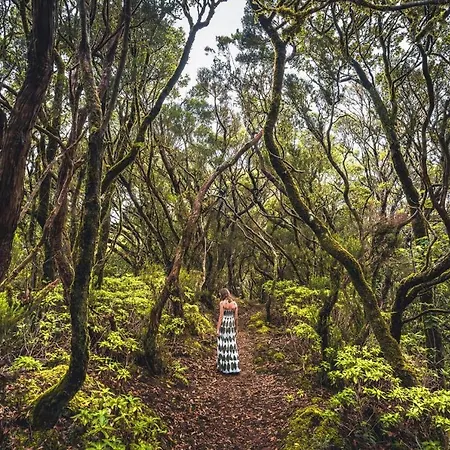 Casa de Férias Isla Tenerife Tegueste